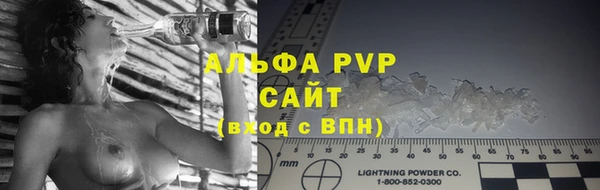 прущие грибы Михайловка