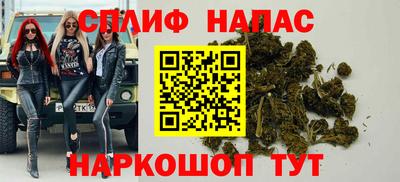 шишки Гатчина