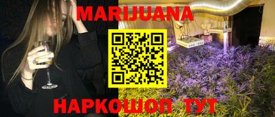 шишки Гатчина