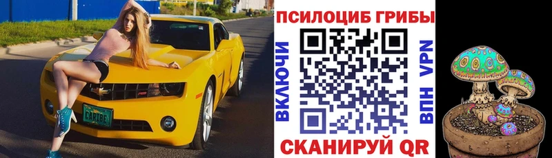 дарнет шоп Сарапул ссылка на мегу ссылка Галлюциногенные грибы ЛСД