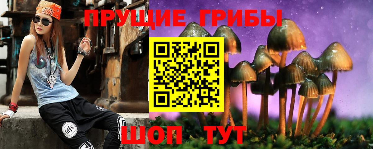 Галлюциногенные грибы прущие грибы Сарапул