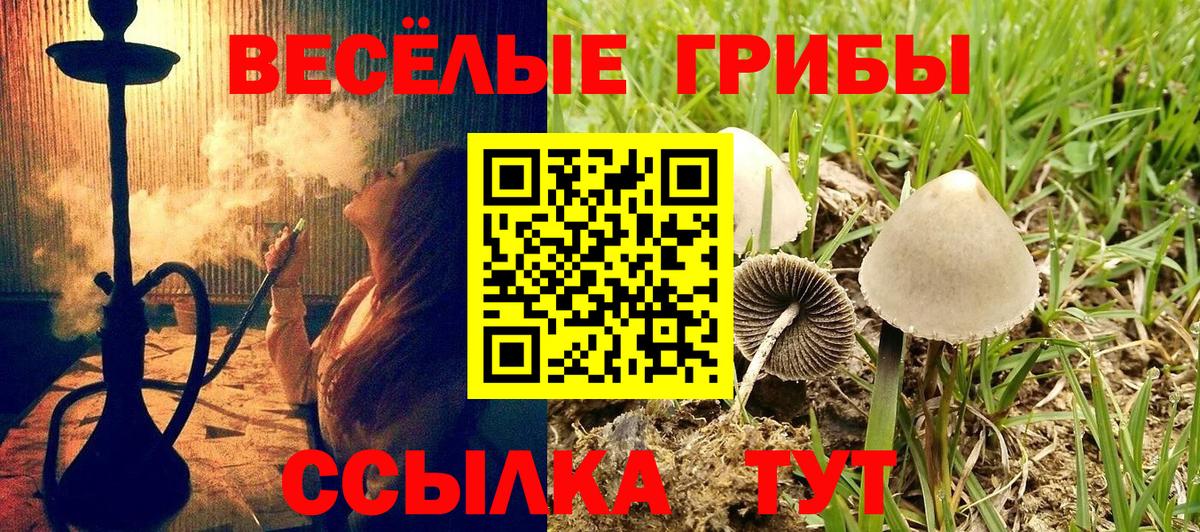 Псилоцибиновые грибы MAGIC MUSHROOMS Сарапул